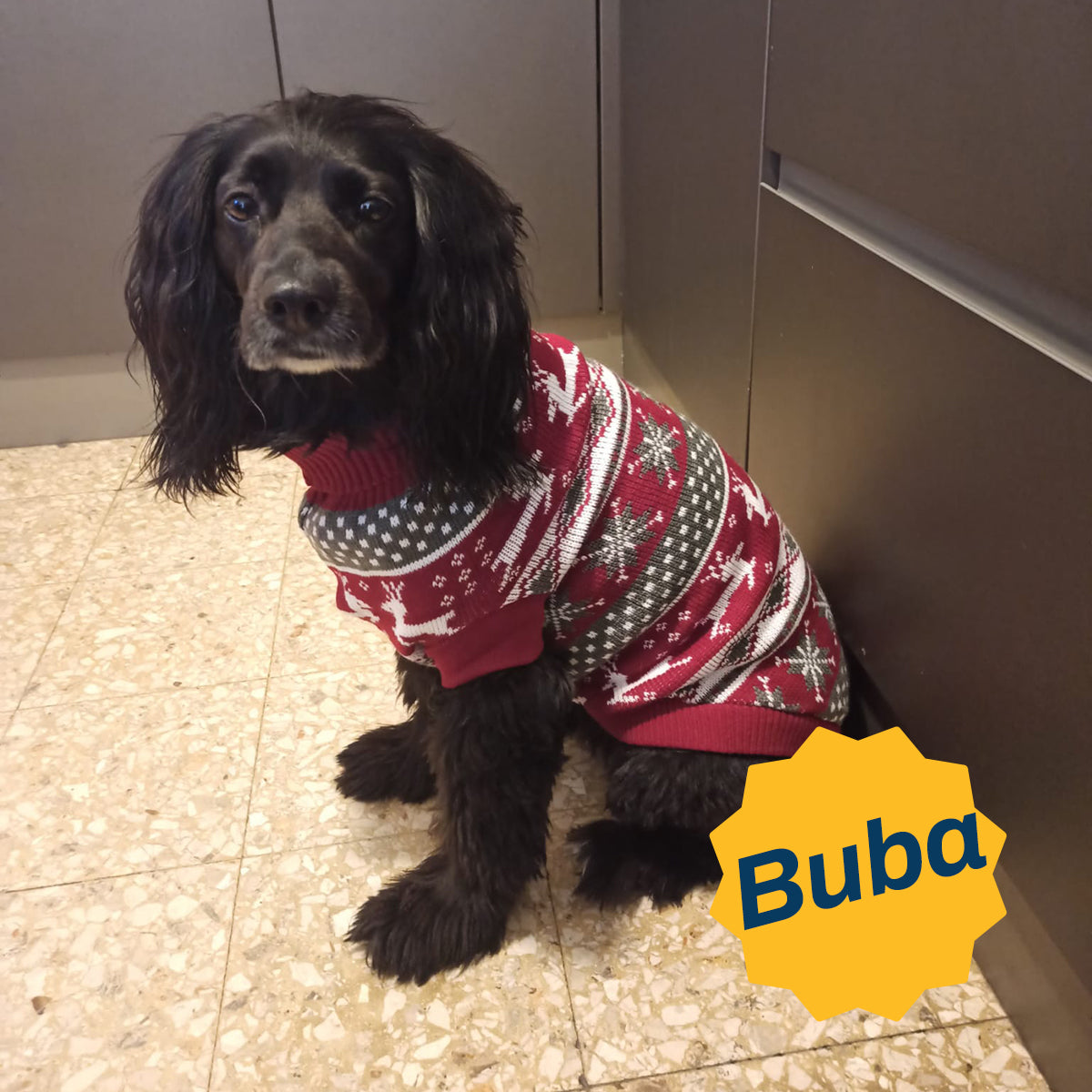 Maglione Natalizio per Cani "Abbraccio di Neve" | Morbido Pullover per le Feste