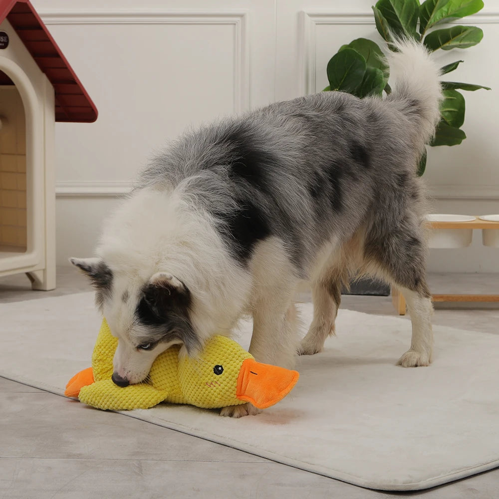 Patty, la Papera da Battaglia | Peluche Sonoro Ultra-Resistente per Cani