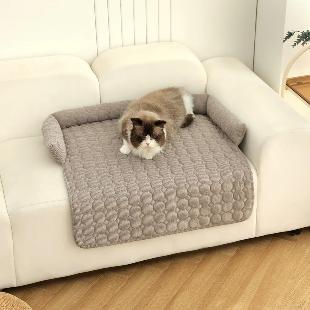 Copridivano a Nido per Cani e Gatti | Il Trono del Tuo Pet (che protegge il tuo)
