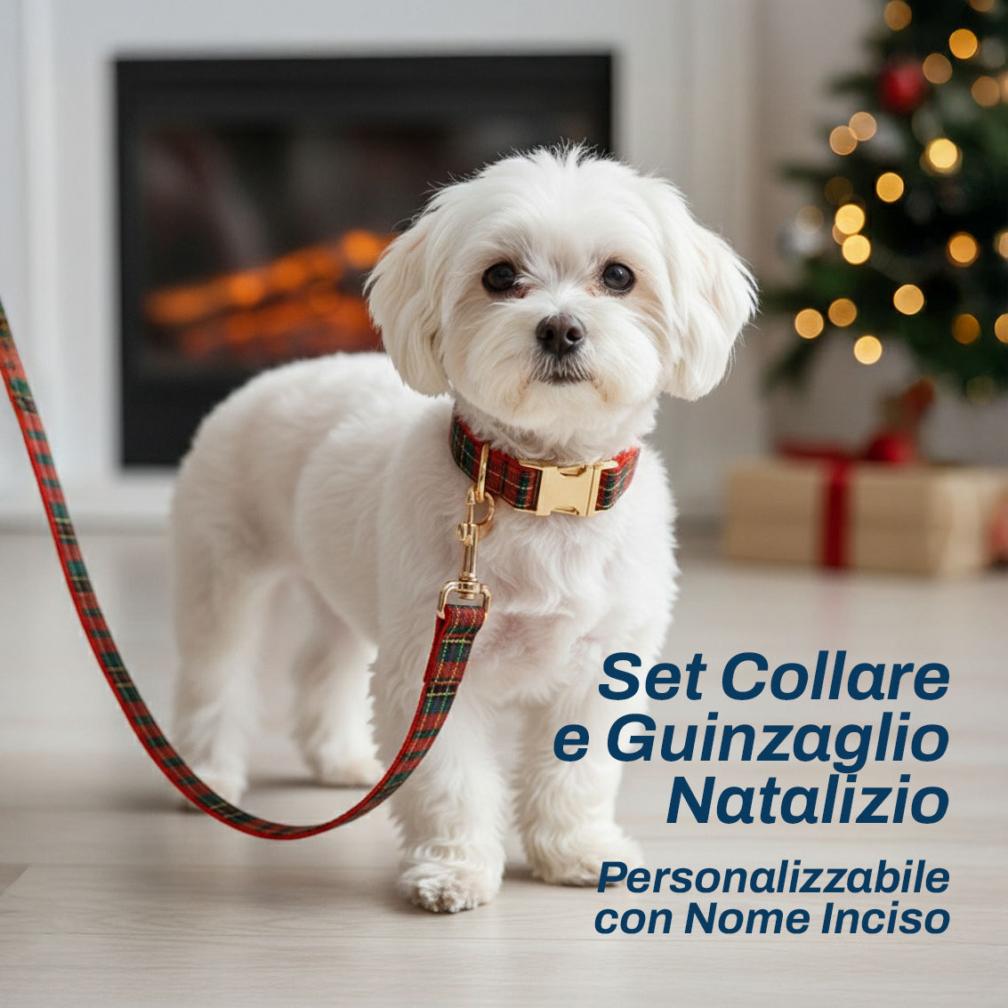 Set Collare e Guinzaglio Natalizio | Personalizzabile con Nome Inciso