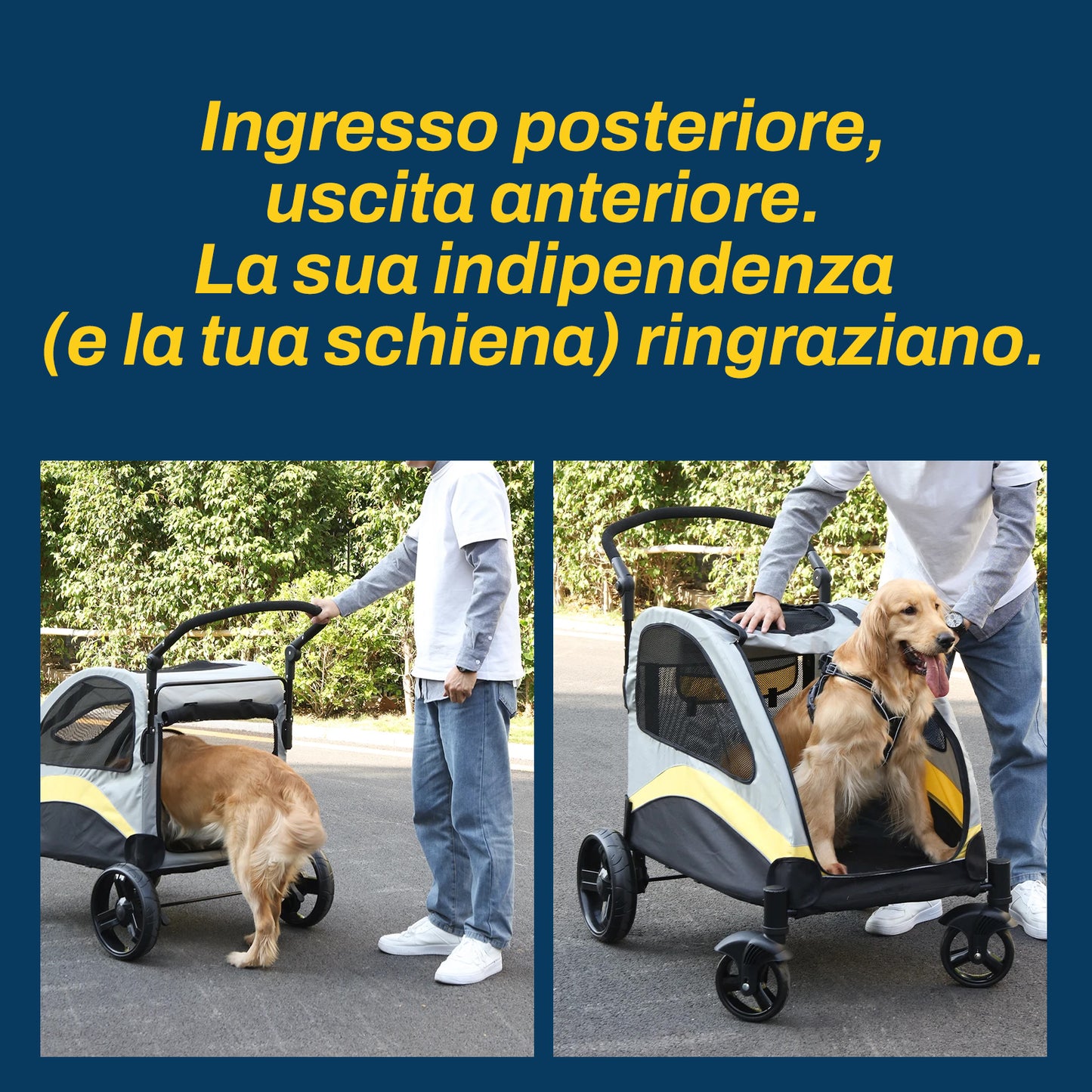 Passeggino Premium per Cani e Gatti | Pieghevole a 4 Ruote per Tutte le Taglie