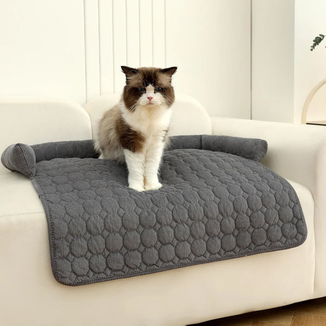 Copridivano a Nido per Cani e Gatti | Il Trono del Tuo Pet (che protegge il tuo)