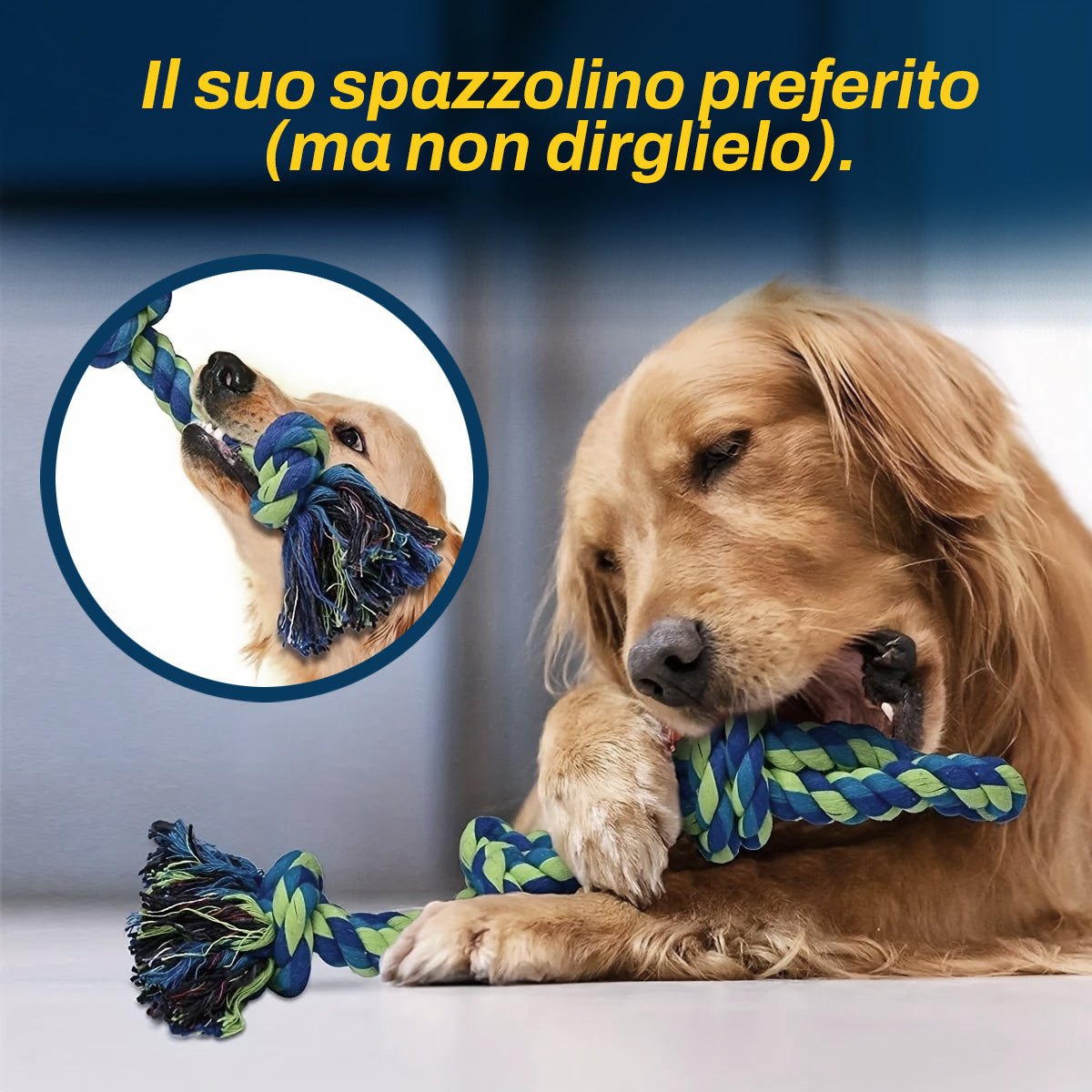 Doppia Corda Gioco per Cani | Il Re del Tira e Molla