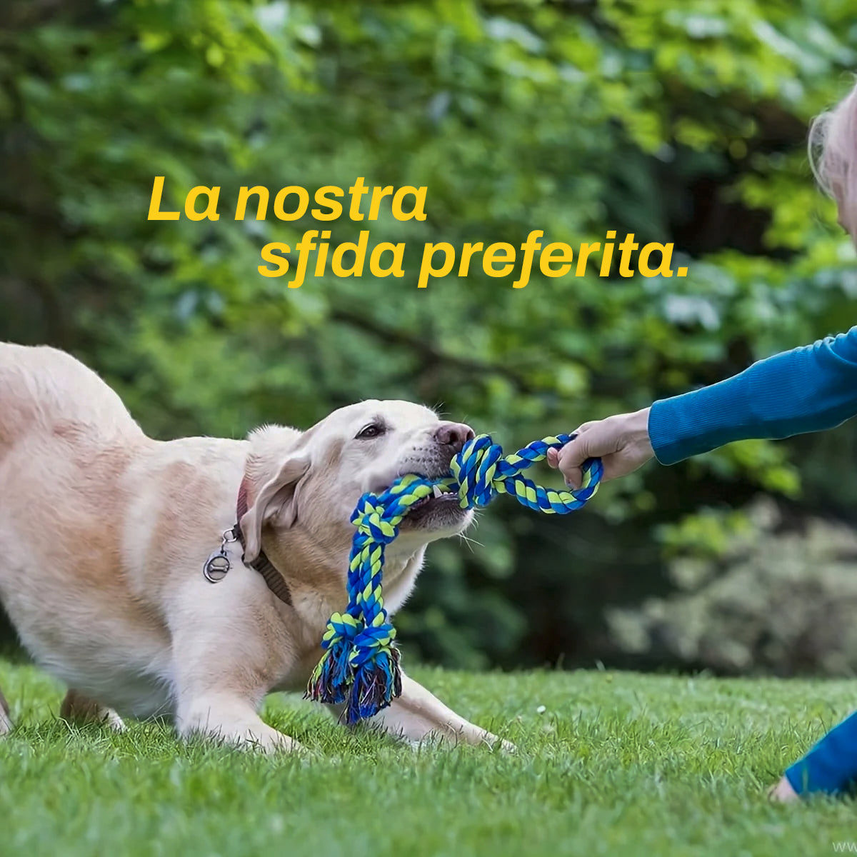 Doppia Corda Gioco per Cani | Il Re del Tira e Molla