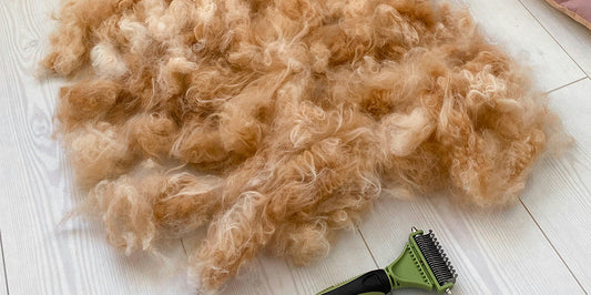 SOS Muta: La Guida del Branco per Sopravvivere alle Nuvole di Pelo