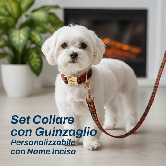 Set Collare e Guinzaglio "Winter Elegance" | Personalizzabile con Nome Inciso