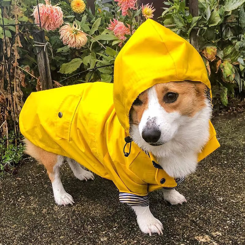 Impermeabile per Cani a Doppio Strato Waterproof | Niente ferma la vostra voglia di esplorare
