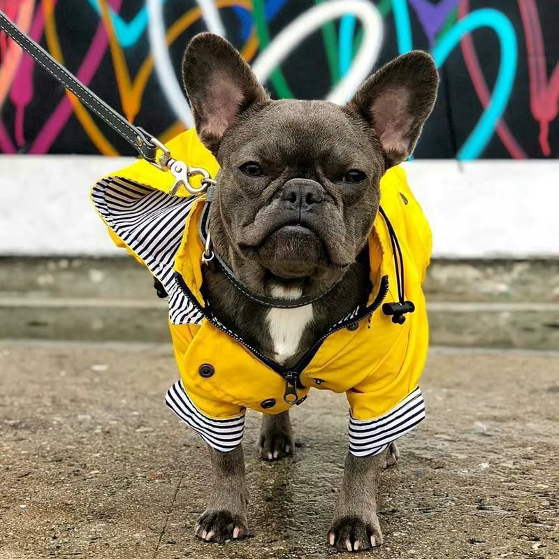 Impermeabile per Cani a Doppio Strato Waterproof | Niente ferma la vostra voglia di esplorare
