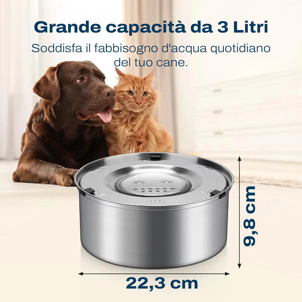 Pavimenti Asciutti, Cani (e umani) Felici | Ciotola Antischizzo Acciaio Inox 1 e 3 Litri