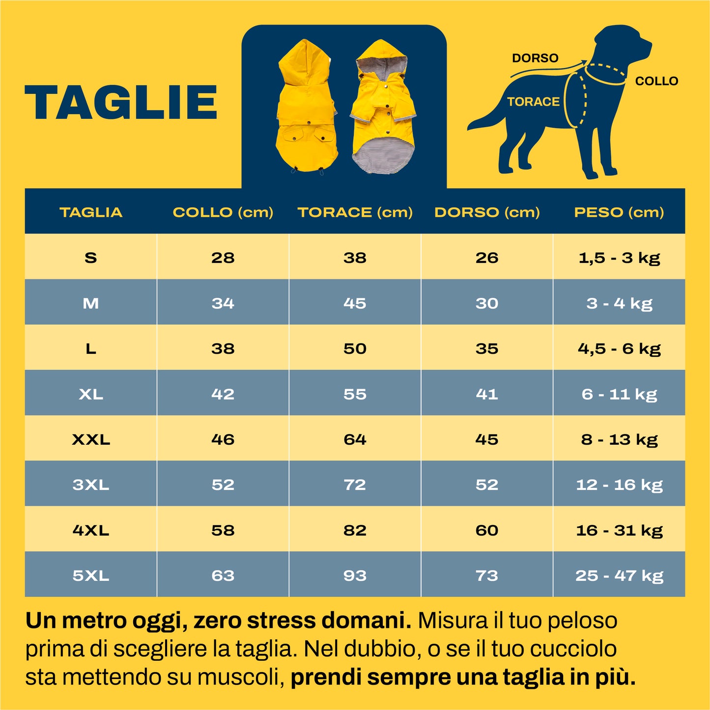 Impermeabile per Cani a Doppio Strato Waterproof | Niente ferma la vostra voglia di esplorare