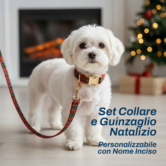 Set Collare e Guinzaglio Natalizio | Personalizzabile con Nome Inciso